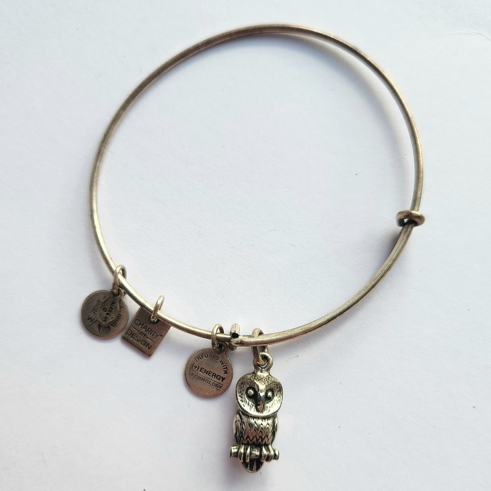 Alex and Ani Owl Charm Bracelet Bangle Silver Ode to the Owl Charity Adjustable
